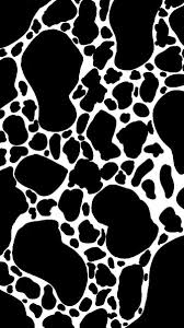 Check spelling or type a new query. Hd Cow Print Wallpapers Peakpx