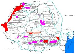 Pro tv se pregătește de cea mai importantă schimbare grafică din istoria grupului media. Sustainability Free Full Text Energy Poverty In European Union Assessment Difficulties Effects On The Quality Of Life Mitigation Measures Some Evidences From Romania Html