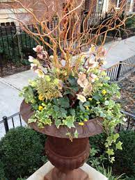 Curly Willow Hellebores Or Lenten Rose Perennial Pale Peachy Cream Flowers That Are Tallest Yellow Violas Variegated Ivy And Jardim Em Vasos Vasos Jardim