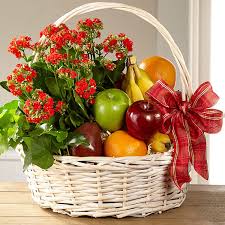 A blooming plant and eleven (11) pieces of seasonal fruit in any combination of apples, oranges, grapes, pears, bananas or kiwi. Bar008 Fruit Basket With Flower Hamper C34 5198