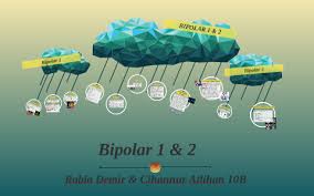 Maybe you would like to learn more about one of these? Bipolar 1 2 By Rabia Demir