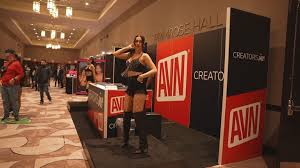 Porn industry, parent groups clash over online age-verification laws - ABC  News