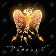 Bobs tail and often makes short flights to hawk insects. Fire Burning Phoenix Bird On Black Background Vector Illustration Royalty Free Cliparts Vectors And Stock Illustration Image 104665028