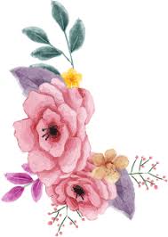 Maybe you would like to learn more about one of these? Bells Of Ireland Bells Of Ireland Flower Green Flowers Bulk Flowers