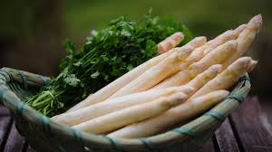 Image result for Asparagus schroederi
