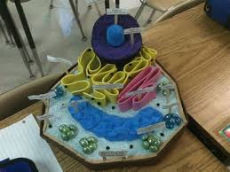 Maybe you would like to learn more about one of these? Labeled Animal Cell For 7th Grade Shefalitayal