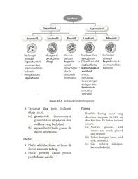 Pergerakan bahan merentas membran plasma. Nota Ringkas Biologi Tingkatan 4 Kssm Bab 1