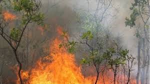 Jun 27, 2021 · φωτιά ξέσπασε στις 12:15 την κυριακή στην περιοχη κώστος, στην πάρο. Macjguvqvqbhym