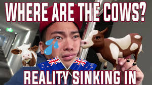 The TRUTH about New Zealand