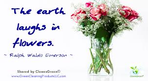 Ralph Waldo Emerson The World Laughs In Flowers Green Cleaning Hard Water Stain Remover Cleaning