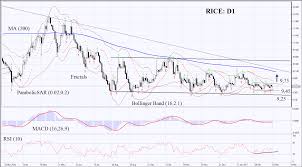 C Rice Price Forecast El Nino May Affect Rice Crops In