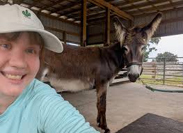 Selfie Sunday with Blaze! 🫏❤️ He was found as a malnourished stray near a  fire station by the South Florida SPCA, hence the name. Now, he is living  his best life at