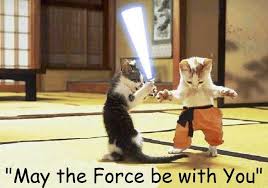 Relevant newest # yes # wow # strong # applause # lightsaber # black and white # horse # military # footage # historic # star wars # lightsaber # may the 4th # may the fourth # star wars cat # cat # cute # animals # vintage # animal # star wars # kitten # best friends # jedi # lightsaber May The Force Be With You Imghumour