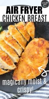 Pin On Air Fryer Recipes