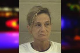 Cynthia Baird — Whitfield County Jail Bookings