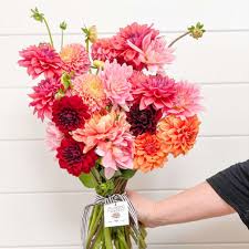 Link your store loyalty cards, add coupons, then shop and save. Sellwood Flower Company Portland Or Florist