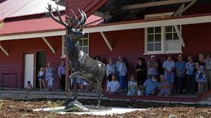 The tale of Norman and how he made history in Toogoolawah | The Courier Mail