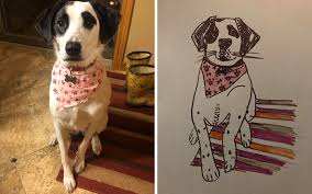 Aaron's pottsville, boyer's food markets, dbr industrial services, koch farm service, peace frog… 03/31/2021 in featured. Humane Society Promises To Make A Bad Original Drawing Of Your Pet For A 15 Donation And Here S The Results 35 Pics Bored Panda