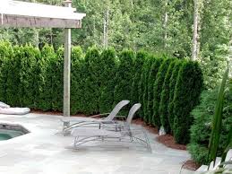 Alibaba.com offers 1,315 indoor privacy screens products. Privacy Fence Screen Ideas For The Garden And Patio Area Deavita