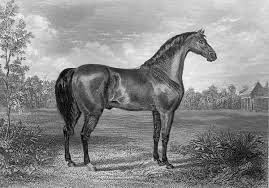 We did not find results for: Sir Archy Wikipedia