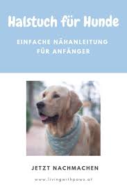 Diy Halstuch Fur Hunde Nahanleitung Fur Anfanger Living With Paws In 2020 Halstucher Fur Hunde Hundehaltung Hund Diy