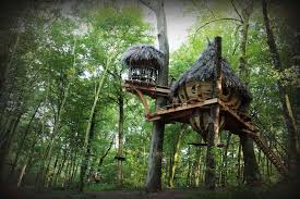 We did not find results for: Abane Constructeur De Cabane Dans Les Arbres