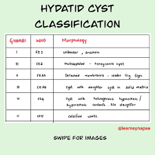 We did not find results for: Synapse Posts Facebook