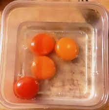 We did not find results for: Seagull Eggs A Rare June Treat In Ahousaht Ha Shilth Sa Newspaper