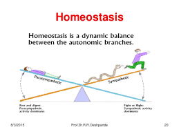 Homeostasis Cell Physiology By Prof Dr R R Deshpande