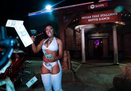 Fever Spreads The Gospel Of Megan Thee Stallion S Hot Girl Ethos Bitch Media