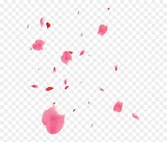 Transparent Cherry Blossom Petals Gif Novocom Top