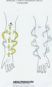 Manual Lymph Drainage Mld Arm Illustrated Patterns Manual Lymph Drainage Lymph Drainage Lymphatic Massage
