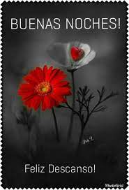 Frases Para Dar Las Buenas Noches Https Compartirimagenes Net Frases Para Dar Las Buenas No Buenas Noches Bendiciones Saludos De Buenas Noches Buenas Noches