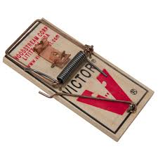 Wildlife Control Supplies: Victor® Standard Mouse Trap (M040)