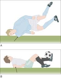 Image result for Fall on Shoulder