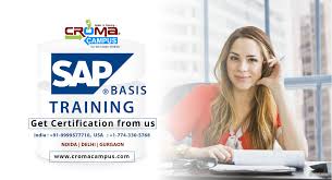 Sap Basis Training Institute In Gurgaon In 2020 Training Courses Training Certificate Training Center