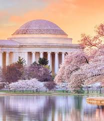 Washington, dc's best sights and local secrets from travel experts you can trust. Washington Dc Segal