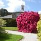 Explore Trevince Gardens