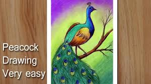 How To Draw A Peacock Easy And Simple Simple Scenery Drawing For Beginners In 2020 Drawing For Beginners Easy Scenery Drawing Peacock Drawing