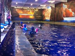 Demikian adalah rekomendasi hotel murah di lembang dengan kolam renang untuk liburan keluarga. Bandung Menyediakan Kolam Renang Untuk Para Hijaber Kabar Jendela