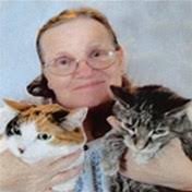 Doolittle Family Obituaries