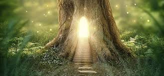 Landscape Background Photos And Wallpaper For Free Download Page 8 Forest Background Background Landscape Background