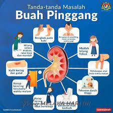 Come in, learn the word translation buah pinggang and add them to your flashcards. Perbelanjaan Awam Bagi Rawatan Penyakit Buah Pinggang Makin Meningkat