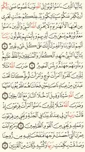 سورة التحريم الجزء الثامن والعشرون الصفحة 561 Math