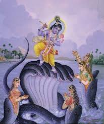 Pin On Krishna S Leela