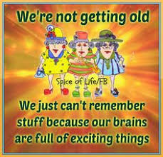 Isn't it funny how day by day nothing changes, but when you look back, everything is different. 270 Graceful Ageing Ageing Humor And Quotes Ideas Humor Bones Funny Getting Old