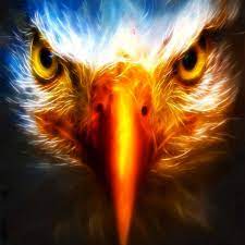 Love It Eagle Wallpaper Eagle Images Cool Pictures For Wallpaper