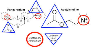Image result for Pancuronium