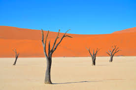 Tripadvisor has 183,589 reviews of namibia hotels, attractions, and restaurants making it your best namibia resource. Warum Namibia Besichtigen Magazin Dlt Travel
