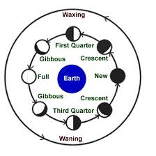 Kids Science Phases Of The Moon